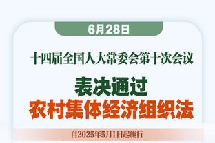 哈兰德：我想改变边线球的规则，只需要让掷球队员双手在球上即可